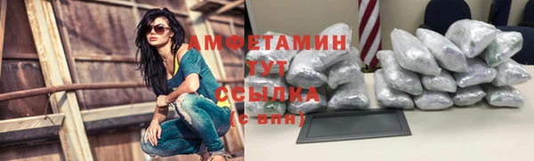 шишки Балахна