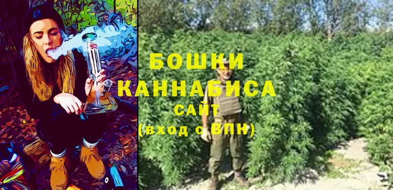 Каннабис OG Kush  OMG ТОР  Гаджиево 